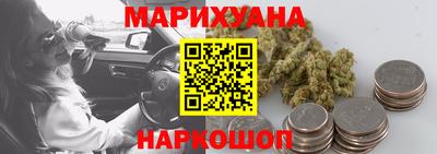 гашик Донской