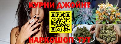 гашик Донской