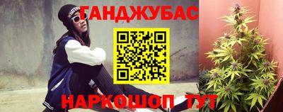 гашик Донской