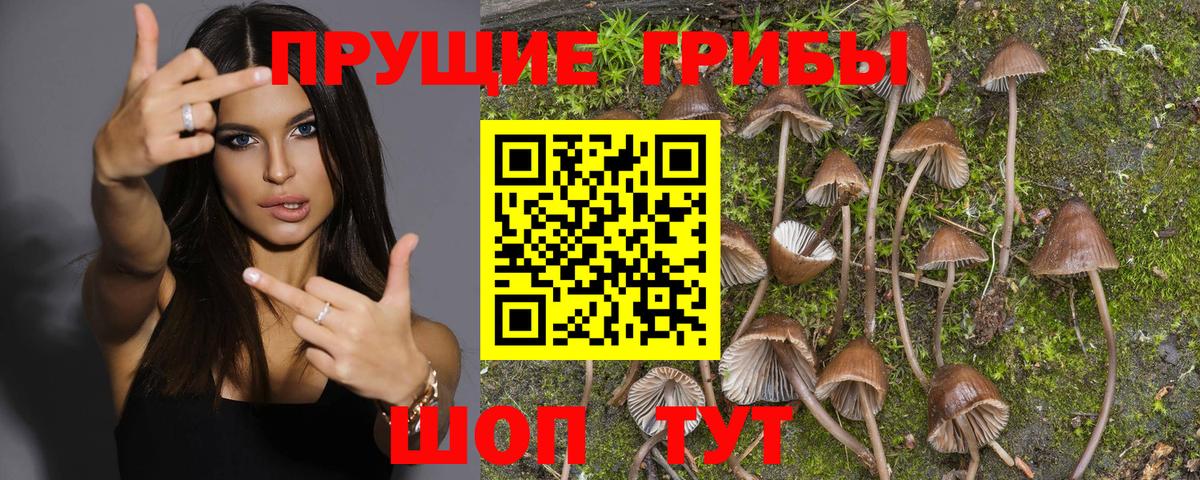 Нижневартовск  Псилоцибиновые грибы мицелий  Вход с VPN 